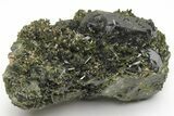 Lustrous, Epidote Crystal Cluster on Actinolite - Pakistan #213437-1